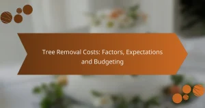 Tree Removal Costs: Factors, Expectations and Budgeting