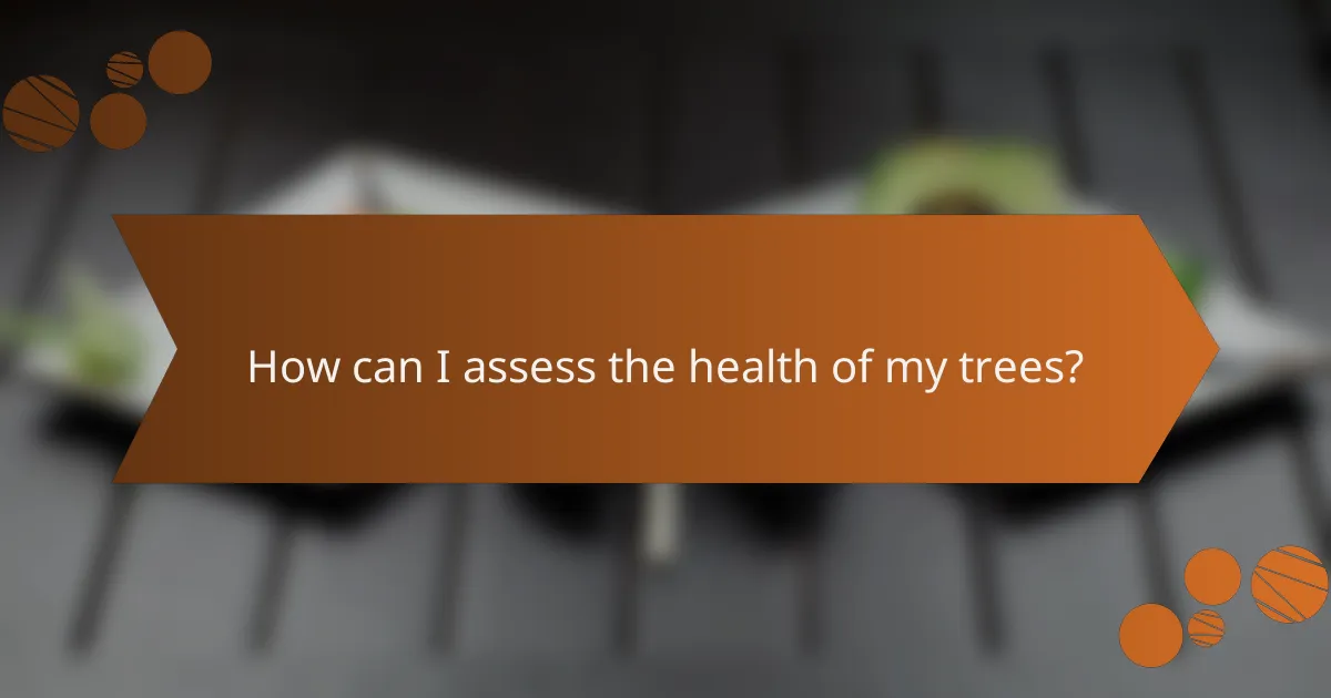 How can I assess the health of my trees?