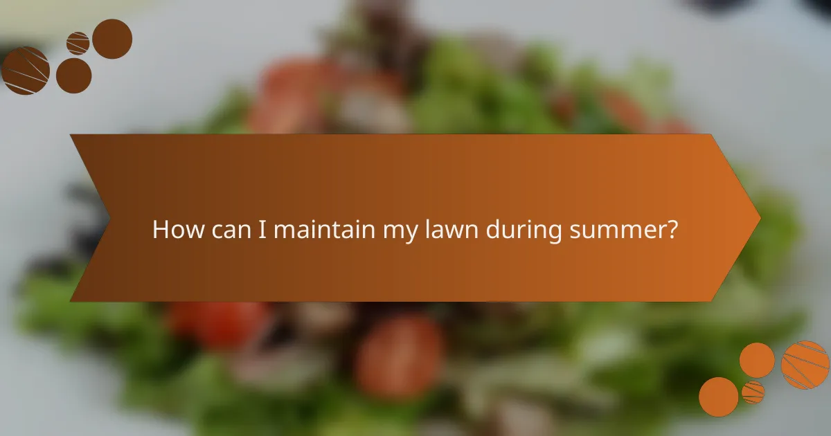 How can I maintain my lawn during summer?
