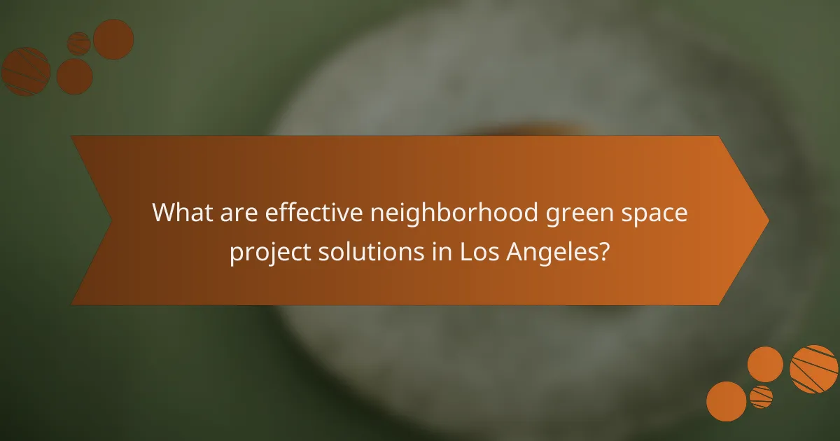 What are effective neighborhood green space project solutions in Los Angeles?