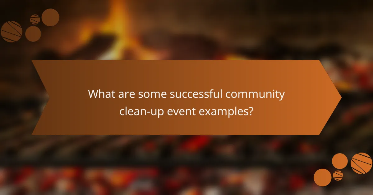 What are some successful community clean-up event examples?