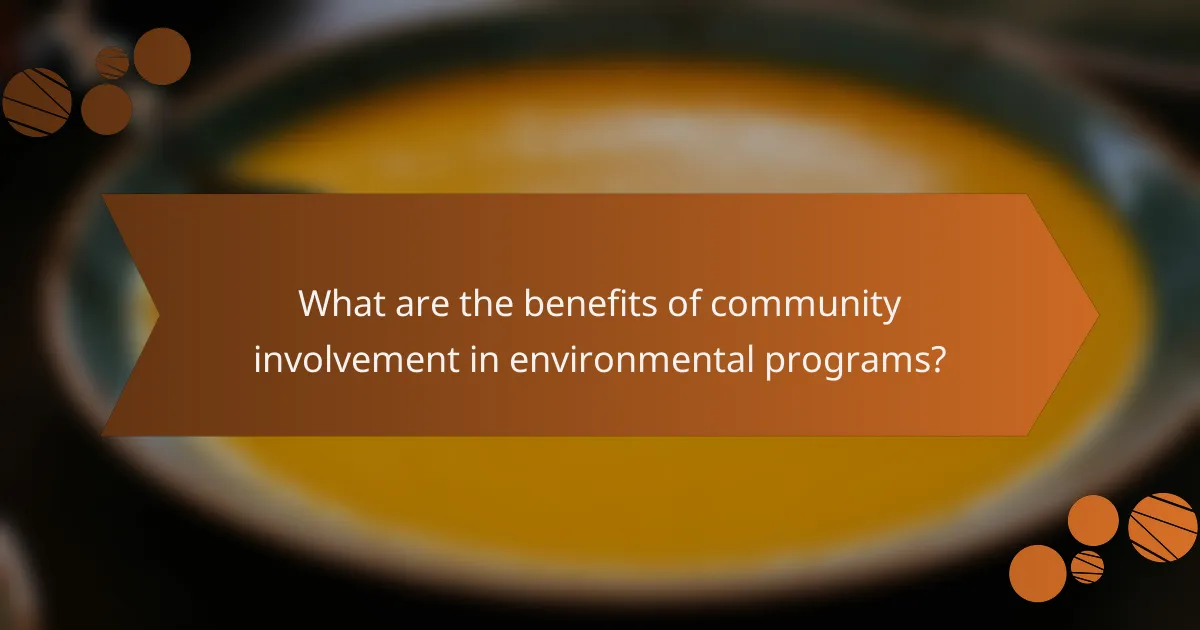 What are the benefits of community involvement in environmental programs?