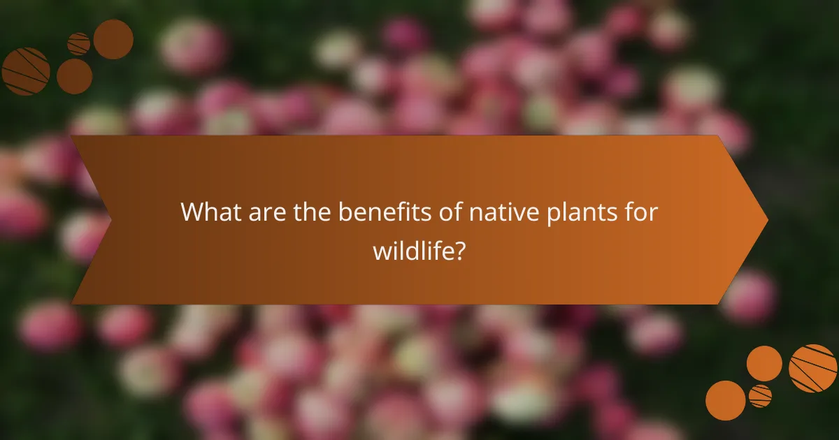 What are the benefits of native plants for wildlife?