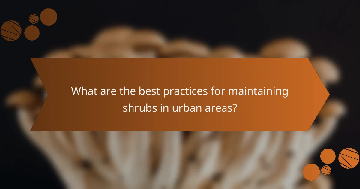What are the best practices for maintaining shrubs in urban areas?