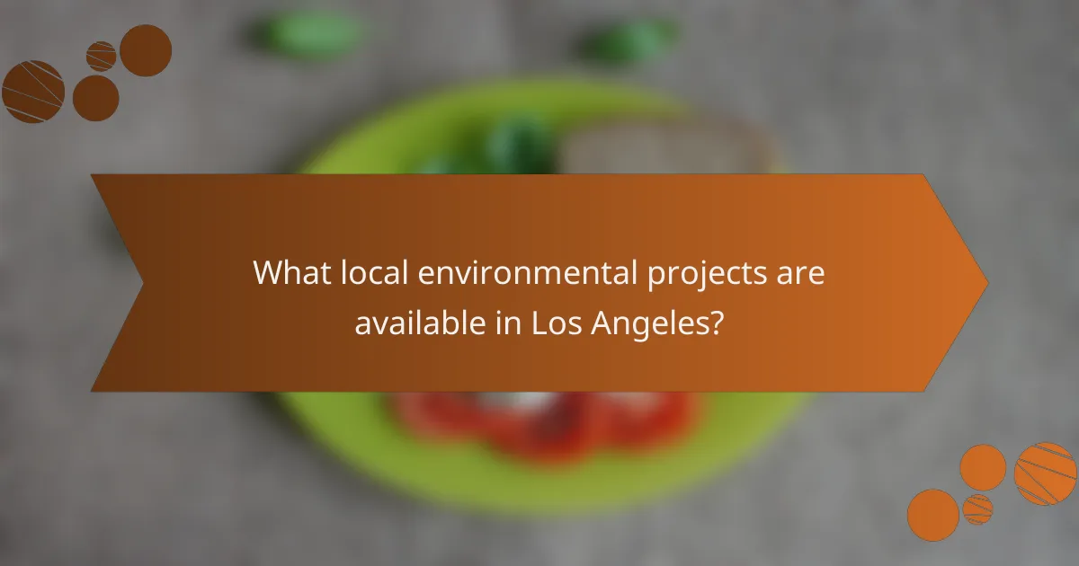 What local environmental projects are available in Los Angeles?