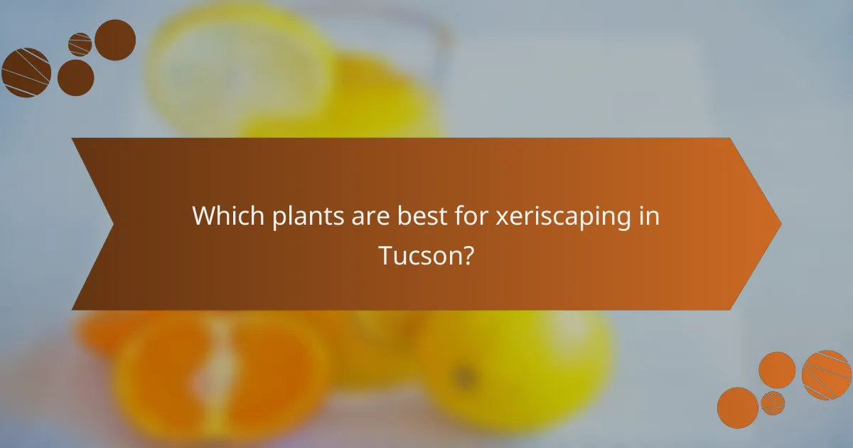 Which plants are best for xeriscaping in Tucson?
