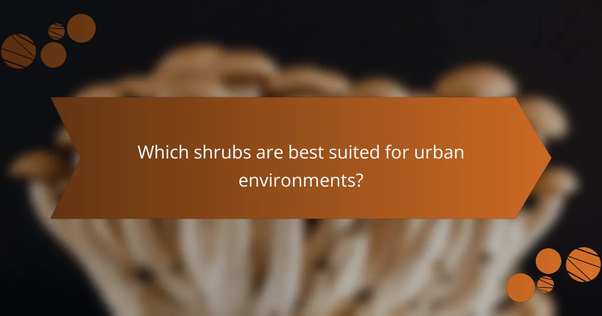 Which shrubs are best suited for urban environments?